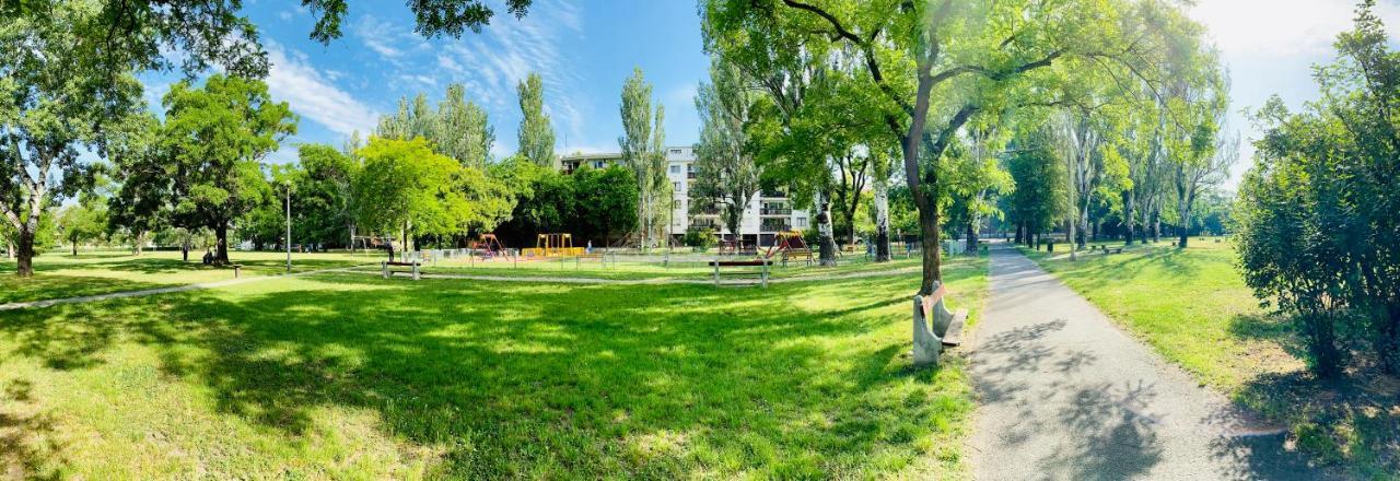 Kalvaria Apartman سيغيد المظهر الخارجي الصورة